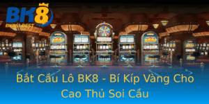 Bat Cau Lo Bk8 Bi Kip Vang Cho Cao Thu Soi Cau
