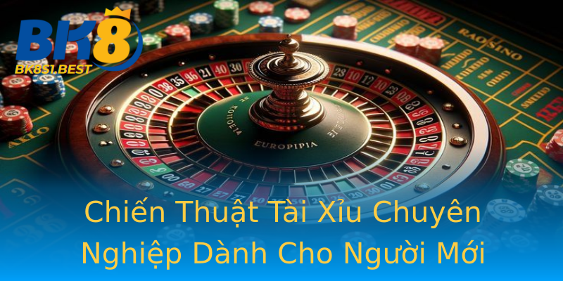 Chiến Thuật Tài Xỉu Chuyên Nghiệp Dành Cho Người Mới Chiến Thuật Tài Xỉu Chuyên Nghiệp Dành Cho Người Mới