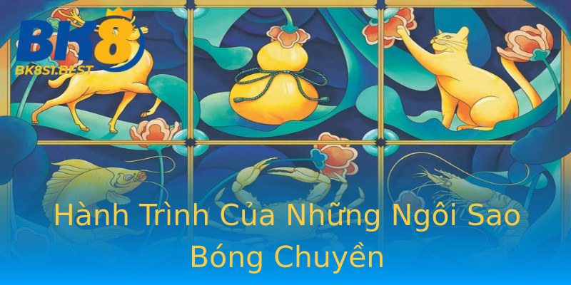 Hành Trình Của Những Ngôi Sao Bóng Chuyền Hành Trình Của Những Ngôi Sao Bóng Chuyền