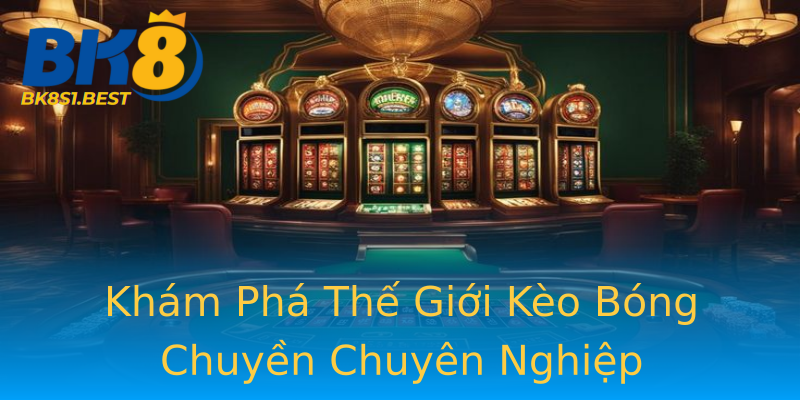 Khám Phá Thế Giới Kèo Bóng Chuyền Chuyên Nghiệp Khám Phá Thế Giới Kèo Bóng Chuyền Chuyên Nghiệp