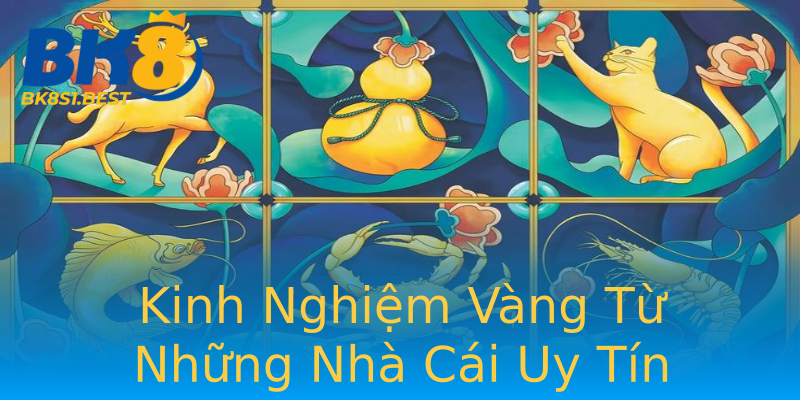 Kinh Nghiệm Vàng Từ Những Nhà Cái Uy Tín Kinh Nghiệm Vàng Từ Những Nhà Cái Uy Tín