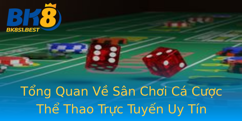 Tổng Quan Về Sân Chơi Cá Cược Thể Thao Trực Tuyến Uy Tín