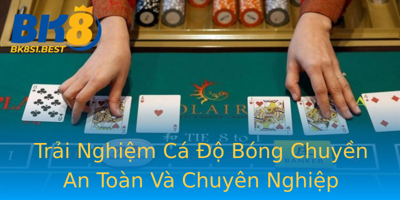 Trải Nghiệm Cá Độ Bóng Chuyền An Toàn Và Chuyên Nghiệp